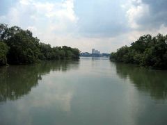 スンゲイ・ブロウ自然公園　Sungei Buloh Wetland Reserve　～シンガポールで再び暮らす【１】～