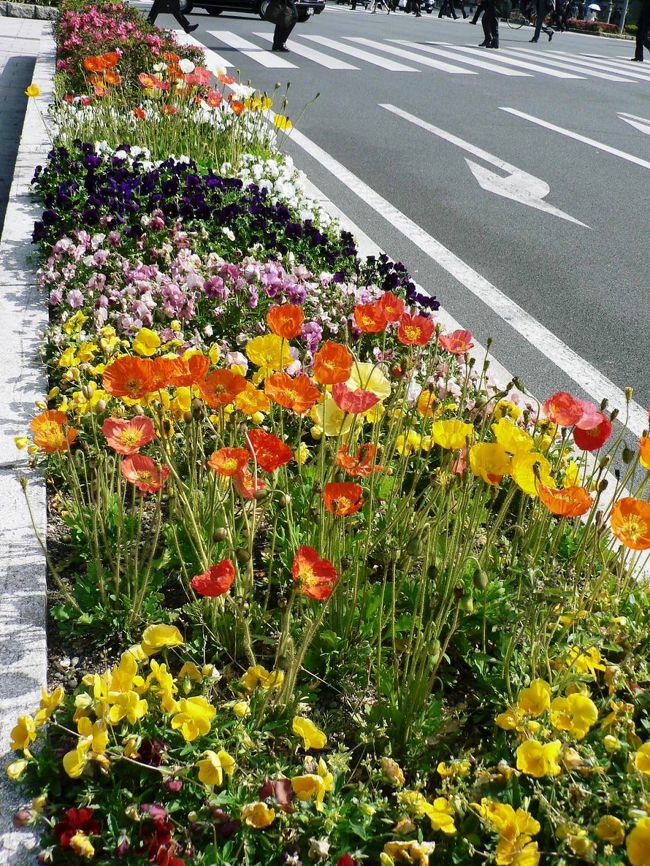 「なにわのメインストリート」御堂筋は「大阪の顔」として花壇が造られ彫刻が並んでいる。花壇や彫刻を眺めながら御堂筋を散歩するのも楽しい。<br />（写真は堂島川沿いの御堂筋の花壇）<br /><br /><br />