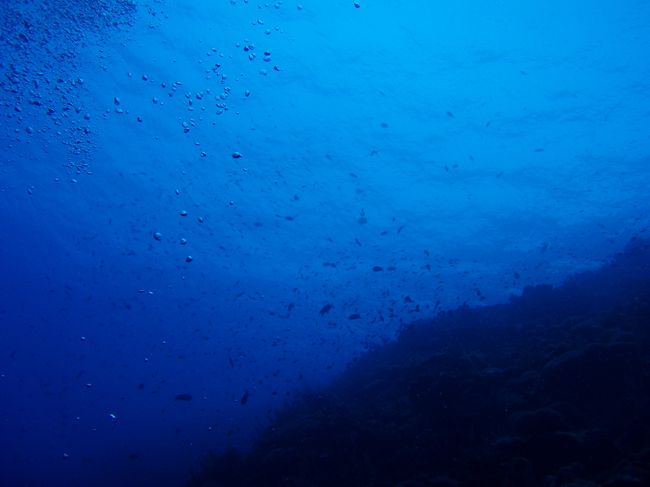 ２泊３日の那覇旅行、<br />ダイビング２日目はケラマの予定でしたが、<br />渡名喜島というトコロに行くことになりました。<br /><br />オーナーの方に聞いたところ、<br />海峡が良い日にしか行けないポイントだそうで、<br />行きたいといっても、簡単には行けない・・・、<br />らしい<br /><br />出航直前まで降っていた雨も上がり、<br />気分もUP(o^-^o)<br /><br />渡名喜島に向けて出発！！<br /><br />