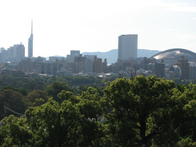 ６月３日、舞鶴公園の花が植えられている地区をめぐっていくと六号堀に出た。　六号堀で休憩した後、福岡城内に入り、天守閣のある展望場所より福岡市の東方向の立花山や若杉山、西方向の大濠公園、シーサイド百道の福岡タワーやヤフードーム等の素晴らしい風景を楽しんだ。　その後、福岡城内を一周して護国神社を訪問した。<br /><br /><br />ハイキング行程<br />大濠公園〜下の橋〜舞鶴公園〜ツツジ園〜菖蒲園〜六号堀〜福岡城内一周〜六号堀〜護国神社〜六本松〜別府橋〜鳥飼〜実家<br /><br />歩行距離・・・８キロ<br />歩行時間・・・・３時間<br /><br /><br />＊写真は福岡城天守閣からのシーサイドももちの展望