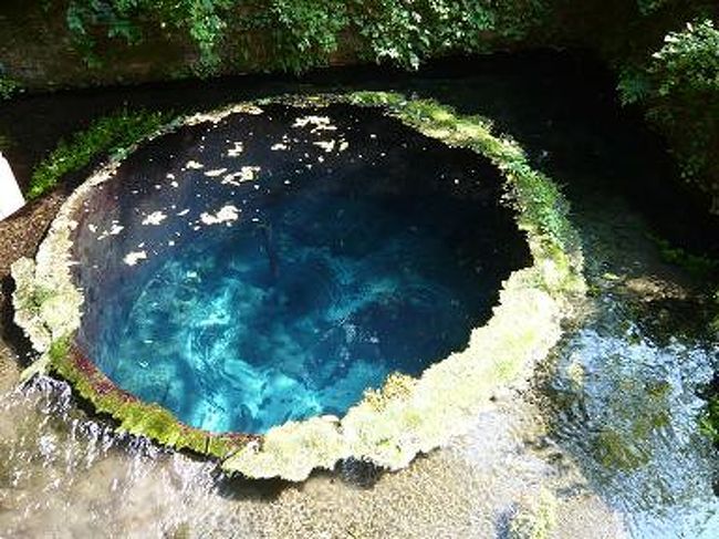 1泊2日で修善寺へ。<br />行く途中、三島に寄ってみました。<br /><br />まずは三嶋大社へ。<br />ここは源頼朝ゆかりの大社ですが、私は松坂大輔が結婚式を挙げた時に知りました。<br />境内には、頼朝と北条政子の腰掛石や、最も古くて大きいと言われる天然記念物の金木犀などがありました。<br />ミュージアムショップでビデオを見てから、お参り。<br />腰掛石にも腰掛けてみました。<br /><br />本当はこのあとウナギを食べようと思っていたのですが、二日酔いだったのでパス。<br />次は柿田川公園へ。<br />一日に100万トンの水が湧いているという柿田川湧水群にある公園で、水好きの私がとっても楽しみにしていた場所!<br />本当にキレイでした☆<br />展望台からは、水が湧き出る様子が見られます。<br />今でも飲料水として利用されているらしいです。<br />ペットボトルやポリタンクで水を持って帰ってる人が大勢いました。<br /><br />ここの水を使っているお蕎麦屋さんに行ったら、もう閉店とのこと・・・。<br />仕方なくカフェで休憩してから修善寺へ。