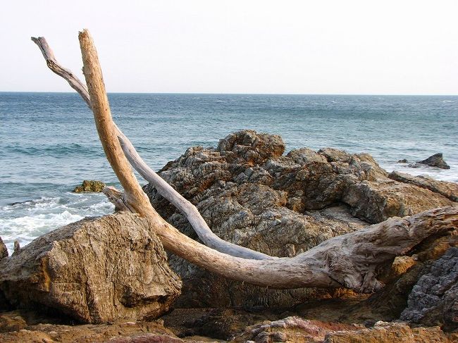 海、沖の小島、灯台、波、咲く小さな花。<br /><br />どれも青春のロマンを思わせます。