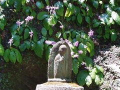 鎌倉・紫陽花の旅　　１：東慶寺