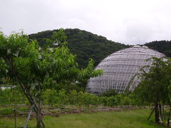 市内最高峰・東谷山参拝