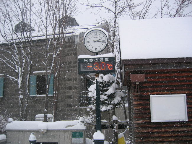 さっぽろ雪まつりが終わり、料金的に安くなる３月に北海道旅行を企画しました。行きは大阪発のトワイライトエクスプレス。２１時間の列車の旅なんて想像もできませんが、期待に胸をふくらませ、いざ出発！。<br />１２時の出発に遅れないよう、相当の余裕を見込んで大阪駅に到着し、列車旅に備えて買い出しに行こうと、荷物をコインロッカーへ。とその時、悪天候によりトワイライトの運転休止のアナウンスが・・・<br />日本旅行で手配してもらっていたので即連絡を取り、午後便の飛行機とホテル宿泊の手配をかけてもらい、とりあえず空港へ直行。日本旅行さんに感謝しつつ、天候を恨みつつ、予想外の出費に困りつつ北海道旅行の始まりです。<br />１日目は予想外の出来事で、一日早く札幌入り。<br />２日目は予定通り旭山動物園へ。まる一日過ごしました。夜はサッポロビール園でゲン直し。<br />３日目は札幌朝市で朝食をとり、朝早い札幌市内を軽く観光してから小樽へ。札幌とうって変わって雪の小樽は過酷でした。歩道にも２０センチくらいの積雪が・・・それでも元気に歩きまわりました。疲れ果てて札幌に帰ろうと駅に着いたら、またまたハプニング。架線事故で運休だって？？？　駅員さんに尋ねると高速バスがあるとのことで、なんとかホテルに戻れました。<br />最終日はホテルをゆっくり出て、空港へ。波乱に満ちた北海道旅行はこうして終わりを迎えました。