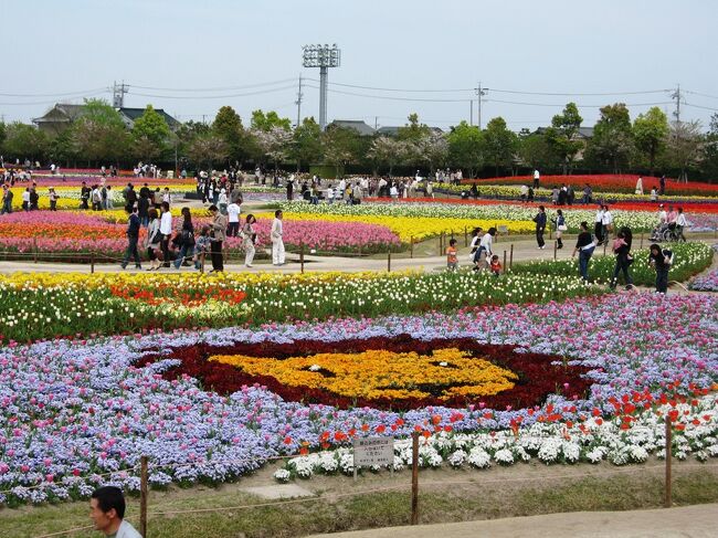 2007春、なばなの里(1/2)：見所十分のチューリップ畑、春爛漫の花祭り