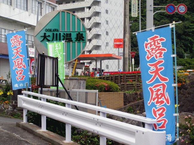 ジャンボオーナーズ伊豆にチェックインをしたあとは、妻は温泉、子供達はお部屋でゲーム、僕は付近の散策に出かけました。<br />ひどかった雨も上がり、時折陽が射す中田舎の小さな漁港でイカを狙っている釣り人を眺めたりしてひと時を過ごしました。<br />一時間ほどの散歩の後はホテルの温泉大浴場で寛いだあと、お楽しみの夕食を頂きに3階のレストランに向かいました。<br />夕食が始まる頃にまた雨が降り出し、雨足は強まる一方、夕食が終わっても止む気配はなく、楽しみにしていた「ほたる鑑賞の夕べ」は断念せざるを得なくなりました。<br />翌日も雨で、朝食後午前十時半のチェックアウト時間までお部屋で寛いで、ホテルの車で駅まで送ってもらって、まっすぐ三島に帰りました。<br />天気予報では、土曜の午後から次第に天気が回復に向かうとの予報を頼りに向かった大川温泉でしたが、何時も晴れ家族の我が家では珍しく天候に恵まれず、近々のリベンジを決意しました。