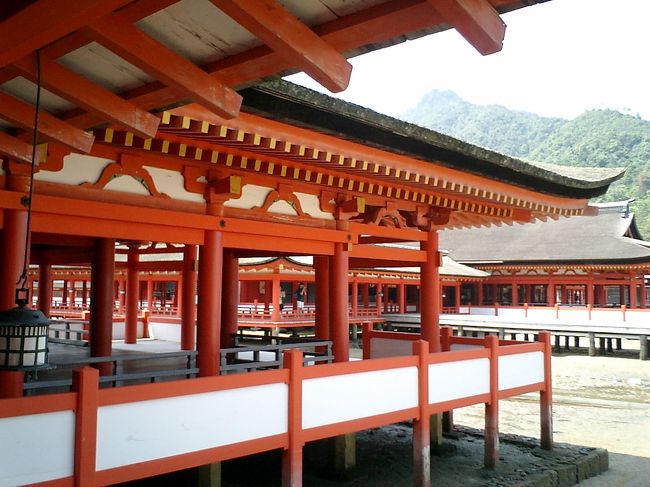 行きたかった安芸の宮島、厳島神社。<br /><br />そうそう、これです、<br />この朱色の建物。そして鳥居。<br /><br />潮は、引いていましたが、満ち潮になってきてしまい、鳥居には近づくことは出来ません。<br />そのことで、より一層、威厳を感じさせられました。<br /><br />