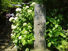 鎌倉・紫陽花の旅　　３：円覚寺