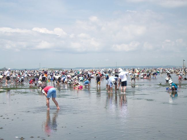 無性に潮干狩りをしたくなり2007年6月2日〜3日で、友人達と房総半島へ行ってきました。<br /><br />今回の旅の目的は<br />?あさり・蛤をいっぱいGETする<br />?貝以外の海鮮も満喫する!!<br />?久しぶりに友人達と大騒ぎする<br /><br />今年2回目の房総半島。目的の潮干狩りにLet's GO!!久しぶりの友人達との旅行という事もあり、私も妻も非常に楽しく過ごせた2日間でした。(私は飲みすぎて、夜はつぶれてしまいましたが…)<br /><br />★旅行形態:個人旅行<br />★ペンション&コンドミニアム:パームヴィレッジ<br />★お世話になったweb<br />○富津海岸潮干狩り<br />http://jf-futtsu.com/<br />○パームヴィレッジ<br />http://www.aco.co.jp/palm/<br />○里美の湯<br />http://www.satominoyu.com/<br />○館山ファミリーパーク<br />http://www.enjoyboso.com/famirry/<br />○道の駅とみうら<br />http://www.ktr.mlit.go.jp/kyoku/road/eki/station/chiba_tomiura/index.html