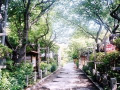 北鎌倉から八幡宮、天園−円海山を歩く