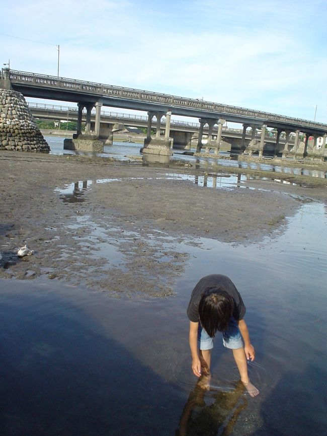 ニッポンの島旅を大得意とするHちゃんと、山をメインに周って来ました。<br /><br />**５泊６日の行程**<br />１日目：到着<br />２日目：縄文杉登山<br />３日目：白谷雲水峡<br />４日目：宮之浦岳登山<br />５日目：１周<br />６日目：かごしま水族館<br /><br />まずは１日目…<br />鹿児島空港→（バス＆徒歩）→鹿児島港→（高速船ロケット）→宮之浦港<br /><br />朝はやーーーく出発し、屋久島上陸は１５時半。<br />飛行機、バス、船、徒歩、と、いろんな乗り物を乗り継いで。<br /><br />宮之浦泊<br />