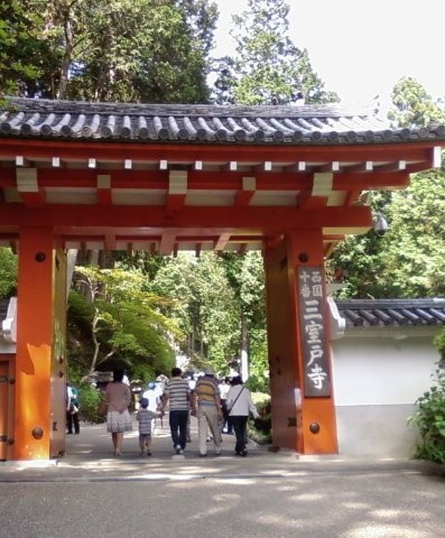 紫陽花の奇麗なお寺が宇治に有る。と、いう情報を得て宇治三室戸寺に行ってきました。中学校の修学旅行以来の宇治。実質初めての訪問。近畿地方入梅していたような気もするけど夏の日差し。しかし寺の境内は大木が茂っているので心地よかった。ついでと言ったら怒られるけど平等院にも足を伸ばし1000年前の平安を探訪しました。<br /><br />三室戸寺:京阪宇治駅よりシャトルバス「あじさい号」所要時間約10分。160円。<br />入場料は500円