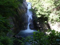 害獣ぷに～た：さくらんぼ農園で自己記録更新（2）