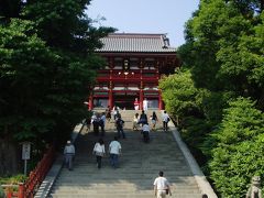 鎌倉・紫陽花の旅　　４：鶴岡八幡宮