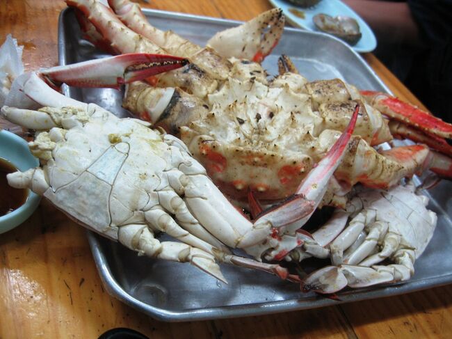 2006秋、韓国紀行16(8/15)：10月7日(2)：ソウル、ノリャンジン市場、買い求めた食材で市場内で夕食