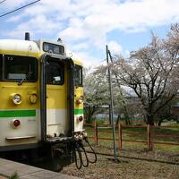 早春の越後路へ【１】～桜咲く弥彦を行く～