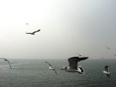 2006秋、韓国紀行16(12/15)：10月9日(1)：ソウル、ソウルからインチョンへ、月尾島から空港島へ