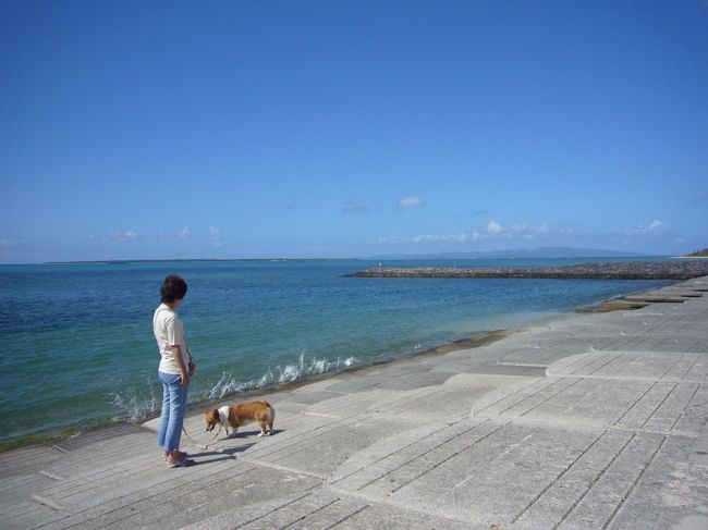 いよいよ八重山の旅後半戦。<br />石垣島から小浜島へ移動の日から。