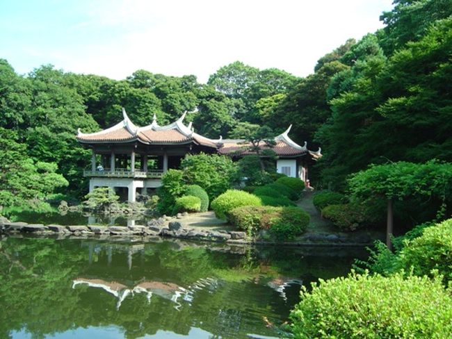 梅雨はいつやってくるのでしょうか、今週末も晴天だったので、高田馬場の馴染みのカレー屋を訪ね、ぶらりと新宿御苑まで寄ってみました。<br /><br />当ブログでは最近、小石川後楽園や浜離宮など都立庭園を巡るシリーズを載せていますが、新宿御苑も同じ都立庭園だと思っていました。<br />が、実は、新宿御苑は都立庭園ではなく、環境省管轄の国民公園とのことです（皇居外苑なども環境省管轄の国民公園なんだそうです。）。<br />それに気づいたのは、一回りしてそろそろ出ようかな、という頃でして・・・。<br /><br />確かに、都立庭園とは趣が随分違うなー、と思いながら回っていたのですが。<br />庭園というよりは、自然を育てている公園、という感じです。<br />普段の都立庭園とは違った雰囲気を味わうことができ、満足の行く散歩となりました。<br />