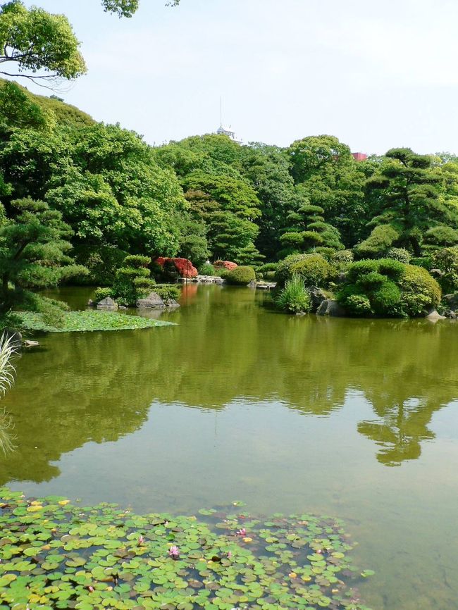 天王寺公園（てんのうじこうえん）は、総面積は約２８万m&amp;sup2;で中之島公園とともに大阪を代表する都市公園。園内には天王寺動物園や大阪市立美術館、慶沢園などがある。<br />天王寺動物園（てんのうじどうぶつえん）は、１９１５年に日本で３番目の動物園として開園。面積約１１ヘクタールの園内に、約２５０種の動物が飼育されている都市型総合動物園。しまうまなどを放し飼いにしている「アフリカサバンナゾーン」が人気。<br />大阪市立美術館（おおさかしりつびじゅつかん）は、１９２５年に住友家本邸の敷地を日本庭園「慶沢園」とともに寄贈され開館した。収蔵品は仏教美術、地中海文明の美術、中国の絵画や書、日本の江戸期・明治以降の絵画、漆工・陶磁など８０００点以上で東洋美術の宝庫と言われる。<br />慶沢園（けいたくえん）は住友家の茶臼山本邸庭園として、１９０８年から１９１８年まで１０年がかりで造園された。大小３つの島が浮かぶ池の周囲に設けられた林を回遊しながら鑑賞する、林泉回遊式の近代日本庭園。１９２５年に住友家から茶臼山とともに大阪市に寄贈された。<br />茶臼山古墳（ちゃうすやまこふん）は５世紀にこの地の豪族のために作られた墓といわれ、大阪市内でも最大級の前方後円墳。１６１４年の大阪冬の陣では茶臼山一帯が徳川家康の本陣、翌１６１５年の大阪夏の陣では真田幸村の本陣となって「茶臼山の戦い」の舞台となった。<br />日本庭園「慶沢園」と茶臼山古墳との間には河底池（かわぞこいけ、通称ちゃぶいけ）がある。７８８年に和気清麻呂（わけ の きよまろ７３３−７９９年）が、上町台地を開削して大和川を直接大阪湾に注ぐ工事を行ったが失敗した名残りとされ、「和気橋」という名称の橋がある。<br />天王寺公園は１９８０年代にはホームレスが多かったが、公園入場の有料化（大人１５０円）と夜間が閉園となったことにより野宿ができなくなり、現在は市民がゆっくり楽しめる憩いの場所になった。天王寺公園一帯は１日家族で楽しめるところだ。<br />（写真は天王寺公園・慶沢園の庭園）<br />