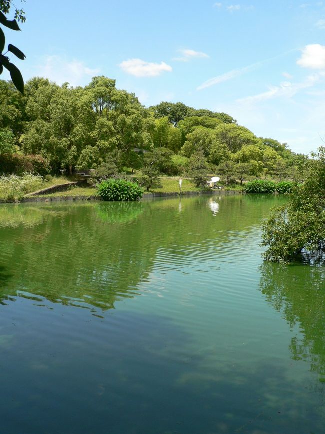 山田池公園（やまだいけこうえん）は、大阪府枚方市にある大阪府営の公園で山田池の周囲に保存緑地の春日山、水辺広場、水生広場、クイーンズランド庭園、展望広場などがある。約１００品種、約１５万本の花菖蒲園が有名。「山田池の月」は枚方八景に選ばれている。<br />（写真は山田池の光景）<br />