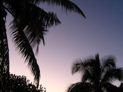 ボモ島旅行記《後編》