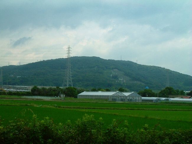 　午後から雷雨でかなりまとまった雨量の情報にヒヤヒヤで歩いた。阪急高槻駅から平坦な道を、京大農場から浄誓寺までまずアプローチ。蒸し暑さに閉口する。背中はもとよりお腹まで汗でグッショリは時間の問題だった。磐手橋近辺では下手をすれば道を間違えそうだった。薄暗い登山口入口になんとなく不安も。<br />　このコースは道が変化に富んでいて、国見山風、ロックガーデン風、金剛山風といろんな起伏があった。星ひとつの家族向けとは思えない歩き応えがあった。それでも中ほどの若山ピーク前後では、尾根道のなだらかな道がけっこう長くあり、季節さえ良ければなかなか良い。ただ梅雨時期は辛いものがある。金竜寺跡では薄暗く、石垣と作りしかわからず、なんとなく妖しい雰囲気だった、モリアオガエルの卵を初めて観察できた。展望は2箇所で良かったものの、驚きとまではいかなかった。少しぜいたくになってきているのかもしれない。初めに淀川と生駒山の展望。次は木津川・宇治川・桂川の合流（背割堤付近とくずはタワー）の展望。四辻を過ぎてゴルフ場沿いから丸太階段の急下りはさすがに疲れた。精神集中が途切れたら危険なほどの階段だった。やっと若山神社に着いて、荷物の詰め替えや降り出した雨の対処（ごみ袋のリュックカバー作り・バッチリだった）中に、雷が鳴り雨も強く降り出した。明日の蚊帳儀式の準備の方に道を丁寧に教わり水無瀬駅を目指した。雨が止まずバス停が見つかり、わずかの距離だったが乗って駅まで行った。少ししんどかったものの完歩してみるとやはりまた歩きたいと思った。