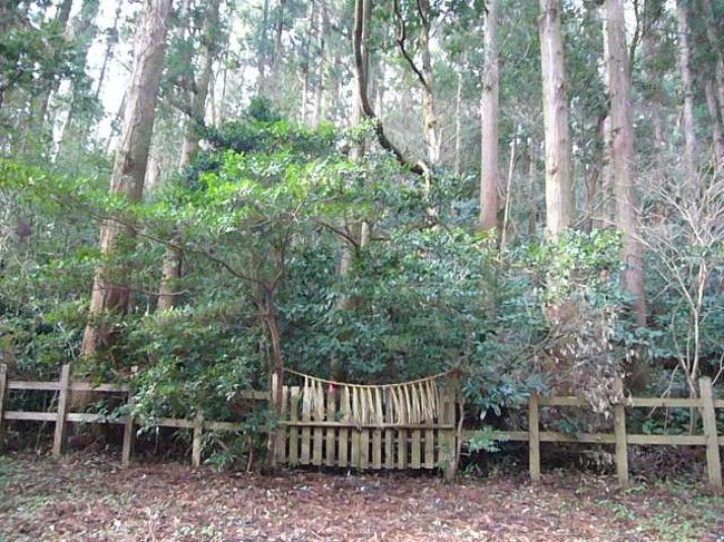 　くしふる神社周辺は天孫降臨にまつわる史跡が集中しています。<br />　４０分、色々回った私たち。<br />　まだまだ残っています。<br /><br />　さあ、今度は山登り。<br />　さあ、がんばれ、私とトド君・・・＾＾；<br /><br /><br />　挫折禁止（松村博司の貧乏旅日記）<br />「冬の高千穂・神話の旅」<br />http://bonkuraii.blog56.fc2.com/blog-category-33.html