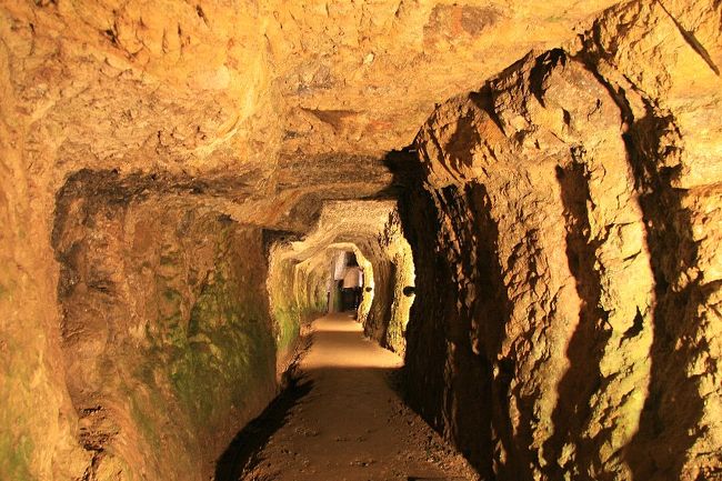 前評判では世界遺産登録が危ぶまれていた石見銀山が無事に登録されました!<br /> それを記念して、2006年に山口県&島根県旅行のときに訪れた石見銀山の旅行記を緊急アップします(^_^)<br />