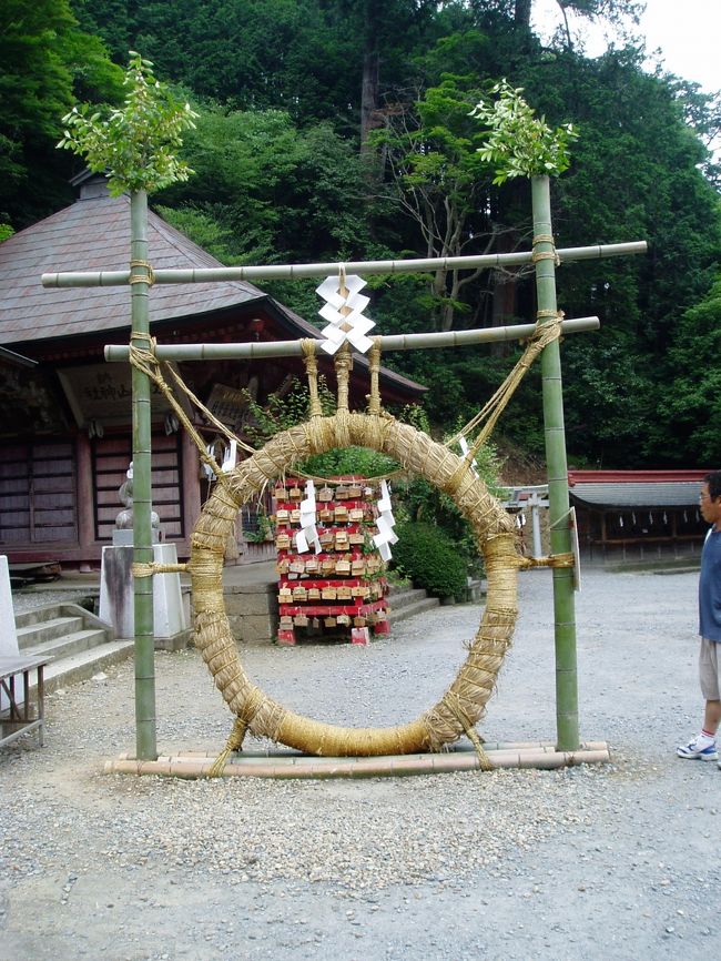 軽い気持ちで、あじさい坂を登りはじめましたが、いつまでたっても神社にたどり着けず、随身門まで来て見上げた所、本格的な階段がいつ果てるともなく続いていることに気づき、クラクラしました。<br />この坂は、高校の山岳部の生徒が訓練のために上り下りする所だと後で知人に聞き、なるほどと頷けました(>_<)<br />しかし、ここまで来たら進むしかないと思い、ヨレヨレになりながらも、頂上まで辿り着くことができました。<br /><br />