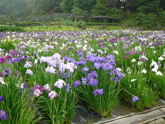 永澤寺（ようたくじ）参拝と花しょうぶ園散策?