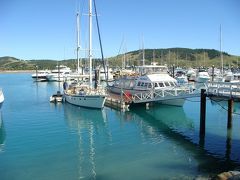 オーストラリア旅行　５日目　～ハミルトン島