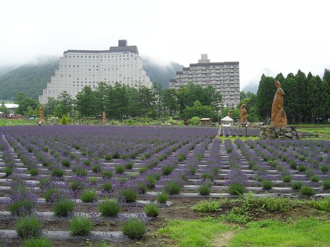 　リステル猪苗代、ラベンダー花畑情報です。開花したばかりでまだ花数が少ないようです。これからが最盛期、見頃なのでホテルでランチなど楽しんだ後は花畑の中散策してみてください！（入場料必要）遠目で良ければ入場しなくても見られます。