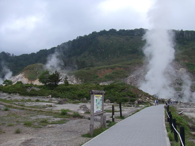 走行距離1300?。1泊2日で秋田の秘湯を巡ってきました。<br />1日目：盛岡で冷麺→八幡平→ふけの湯→後生掛温泉→玉川温泉<br />2日目：田沢湖→乳頭温泉（鶴の湯）→盛岡でわんこそば<br />八幡平の温泉郷を巡ったので、窓を開ければ硫黄の臭い。<br />硫黄の臭いに包まれた2日間でした。<br /><br />今回のメインは「世界の奇跡・玉川温泉」。<br />がんの湯治に訪れる方もいるというこの温泉は、私の知っているレジャーとしての温泉ではなく、まさしく湯治のための温泉でした。<br />強酸性でピリピリして10秒と入っていられなかったお湯はもちろん、天然の岩盤浴ができるこちらでは、ござを敷いて横になる方がたくさんいらして、今までの温泉のイメージを変える、とても印象的な場所となりました。<br /><br />