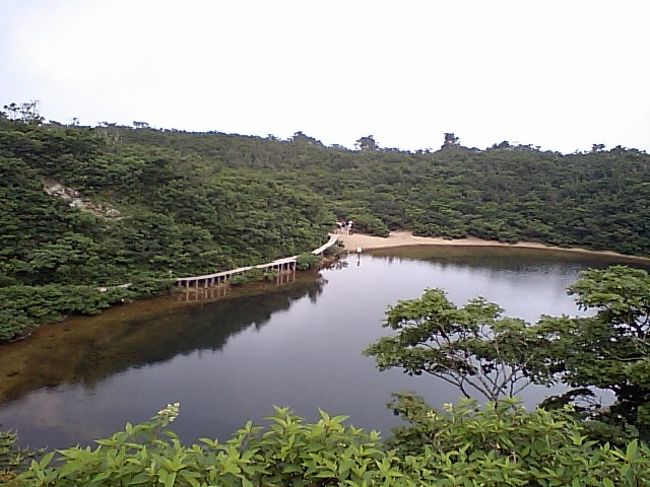 岐阜県と福井県の県境にある夜叉ヶ池。<br />夜叉ヶ池伝説もある有名な池です。<br /><br />2週間前にも雨の中、登山へ行ったのですが、池が見えるところまでは行けました。<br />しかし、雨・霧・風の悪天候にて残念ながら断念。<br />そのリベンジとして再挑戦してきました。<br /><br />今回の天気は、曇りなので楽勝でした。<br />登山時間はこんな感じです。<br />登山口　→夜叉ヶ池　７５分<br />夜叉ヶ池→三周ヶ岳　３０分<br />三周ヶ岳→夜叉ヶ池　２５分<br />夜叉ヶ池→登山口　　６０分<br /><br />帰りに、藤橋の道の駅で温泉に入ってリフレッシュ。<br />なかなかキレイで良い温泉でした。<br />両腕が日焼けでヒリヒリしました。<br />