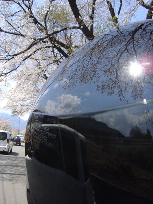 長野県内でも十分に花見は楽しめるのですが。<br />山梨にて原付関係のミーティングがあるとの事で、<br />せっかくだからと、仲間とそれをネタにツーリング。<br />時期的に桜もちょうど良く、花見も満喫。<br /><br />有名な桜は混雑も凄いですが、<br />２輪だと結構なんとか対応もキツくなく、<br />走りと共に楽しんで参りました。<br /><br />詳しくは↓こんな感じ。<br />ttp://www.geocities.jp/g_axis_tourer/190408.html<br /><br />