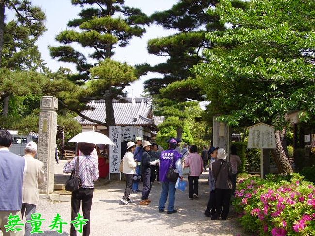 かきつばたの花を見るために、知立市の無量寿寺に出かけました。合わせて、周辺の名所も少しだけ散策しています。<br />無量寿寺は三河新四国（第四番）の札所です。