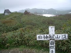 念願の白神山地。