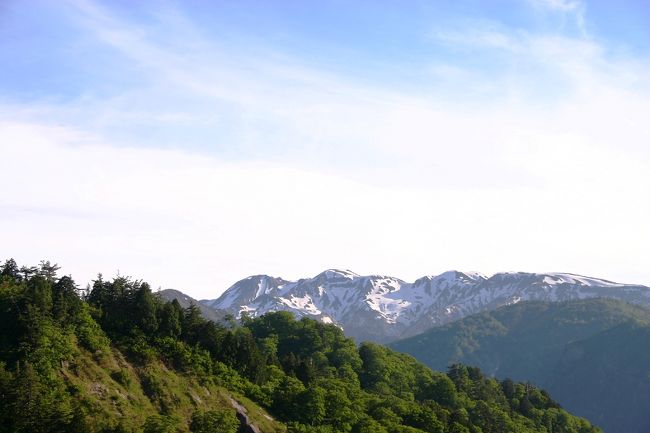 白川郷を後にして、白山スーパー林道をドライブして帰路に着く事にしました。<br />白山スーパー林道は、片道普通車で3150円とかなりお高め・・・<br />走ってみて、3150円の意味がよ〜くわかりました！<br />はい、それくらい取らないとダメですよねぇ・・・<br />あんなに高いところにこんなにすごい道を引いたんだから。<br /><br />とにかくガードレールが低いのと、ワイヤーのみのガードレールだったりで、<br />視覚的にかなり怖かったです。<br />少し運転を誤まると、即死につながるような恐怖感があり、<br />ゆっくりドライブを楽しみました〜<br />あのガードレールは、みんなにスピードを出させない為の<br />ひとつの手段なのかもしれません。<br /><br />雪の少し残った白山は、まるで外国にでも来たみたいに綺麗でした。<br /><br />白山スーパー林道　http://www.hakusan-rindo.jp/index.shtml#<br /><br />通行料金：普通車片道3150円<br />通行時間：午前7時〜午後6時<br />