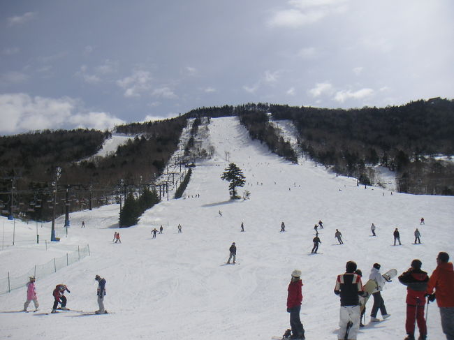 友人達７名（男４人、女３人）で、志賀高原にスキーに行ってきました。志賀高原でのスキーは、宿泊での志賀高原でのスキーは、１０年ぶり以上です。今年は、雪が少なく心配でしたが、流石に志賀高原、他のスキー場は雪不足でも、ここでは十分に雪がありました。３月で、パウダースノーとは言えませんでしたが。<br /><br />チューホテルに宿泊するのも、１０年ぶり以上でしたが、以前とほとんど変わらない雰囲気で、夕食の鍋料理も、美味しかったですよ。