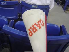 プロ野球観戦　広島−巨人　（ＴＯＫＹＯ　ＤＯＭＥ）