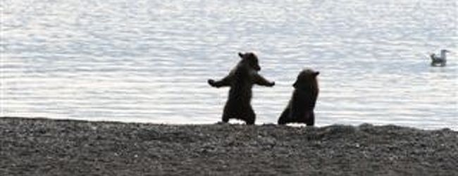 カトマイ国立公園周辺 旅行 クチコミガイド フォートラベル アメリカ Katmai National Park カトマイ国立公園周辺 旅行 クチコミガイド フォートラベル アメリカ Katmai National Park