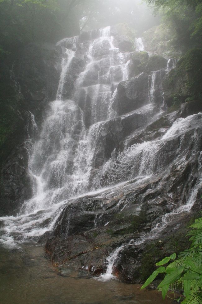 福岡県前原市の白糸の滝に行ってきました。<br />この日は夏休み入って初の日曜日。<br />前原に近付くと霧がいっぱい。ちょっと寒いかな？なんて思いながらもカーナビに教えられた道を行くと駐車場はいっぱいの車！さすが福岡からすぐの滝はこんな天気でも賑わっていました。