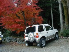 紅葉の穴場◆阿弥陀寺（京都市左京区）