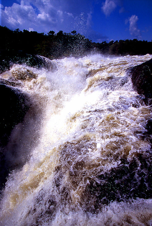 マーチソン滝（Ｍｕｒｃｈｉｓｏｎ Ｆａｌｌｓ）/ウガンダ（Uganda