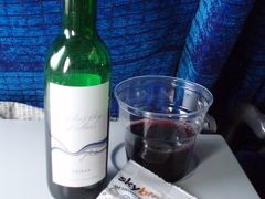 フィンランド旅行 vol.01 =1日目 ヘルシンキへ向かう機内にて=