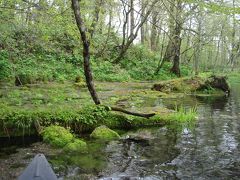 Nach Japan!　?　羅臼・川湯温泉編