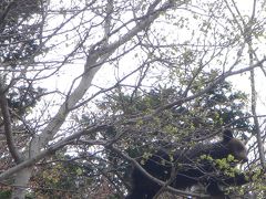 Nach Japan!　?　知床世界自然遺産