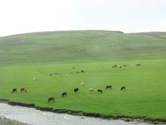 2007 Adventure in Middle-east/2nd Turkey-[the Road to the Trabzon]